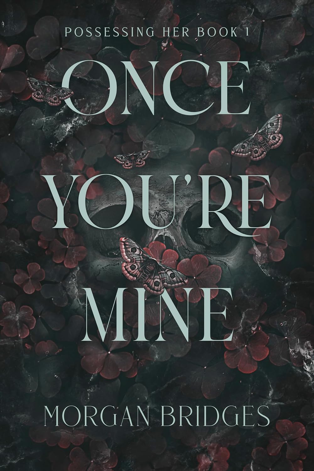 Once You're Mine: A Dark Stalker Romance (Book 1)