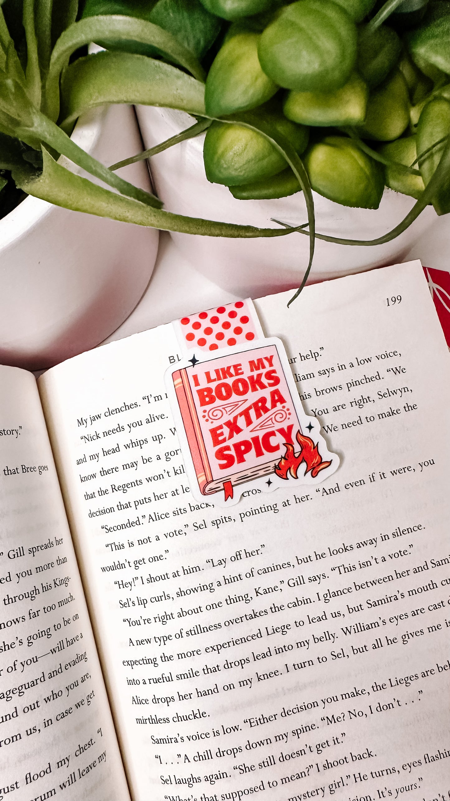 I like my books extra spicy magnetic bookmark