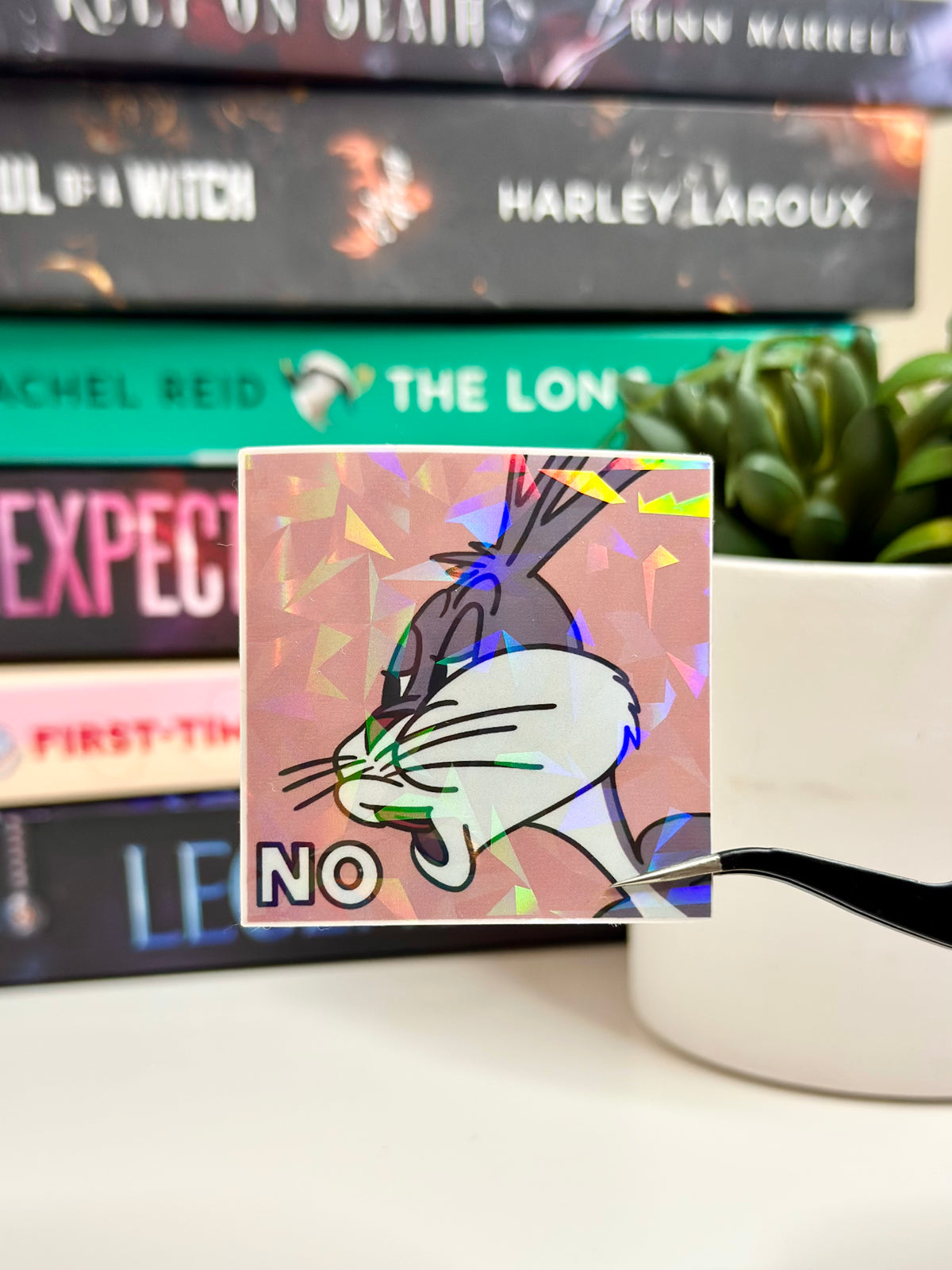 Funny NO Sticker